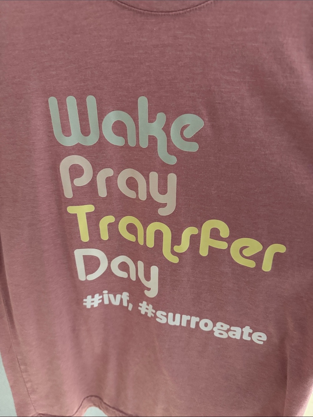 Wake Pray Transfer Day Short Sleeve Tee - Dusty Rose